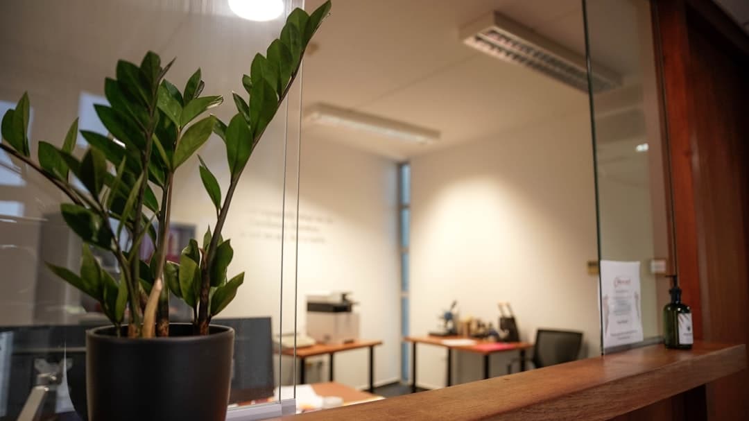 A quiet office reception desk with a telephone.
